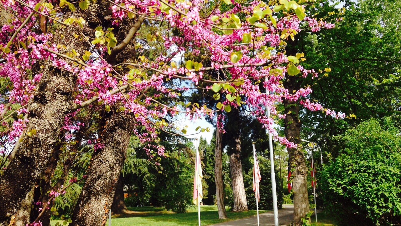 Photo of Outdoor in Salvarola