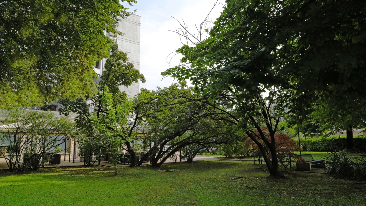 Photo of Outdoor in San Dona di Piave