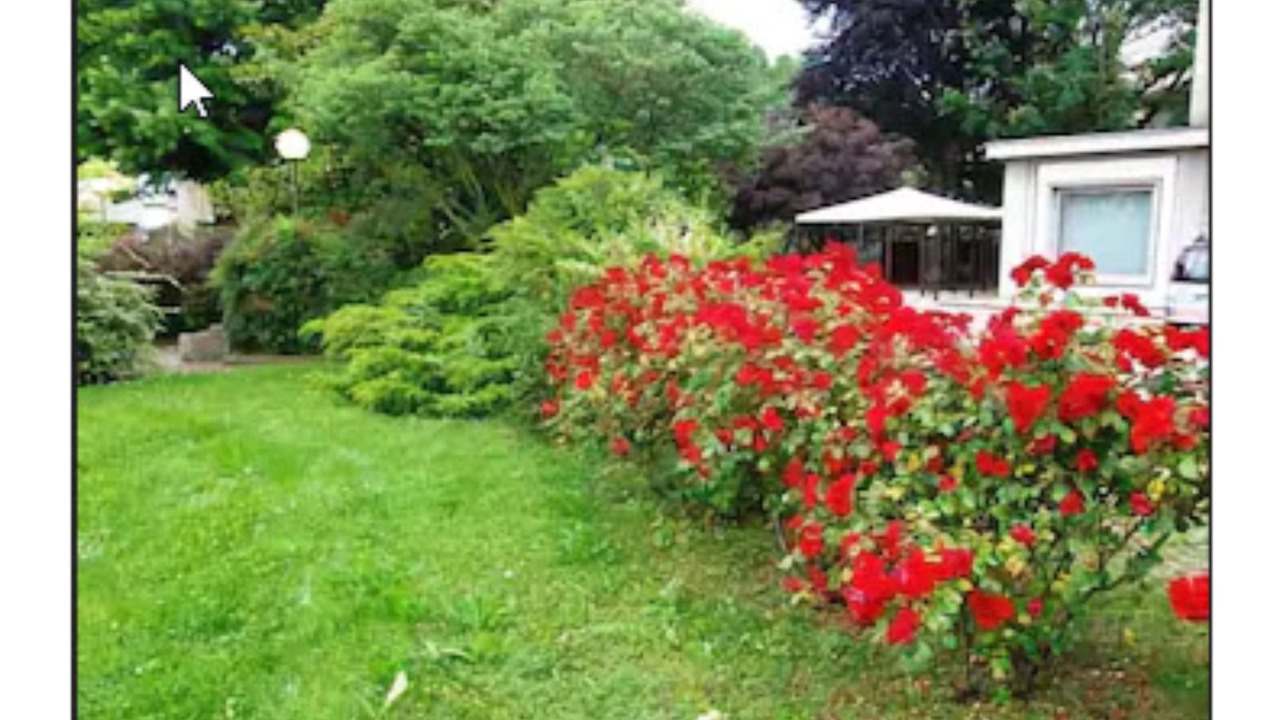 Photo of Outdoor in San Dona di Piave