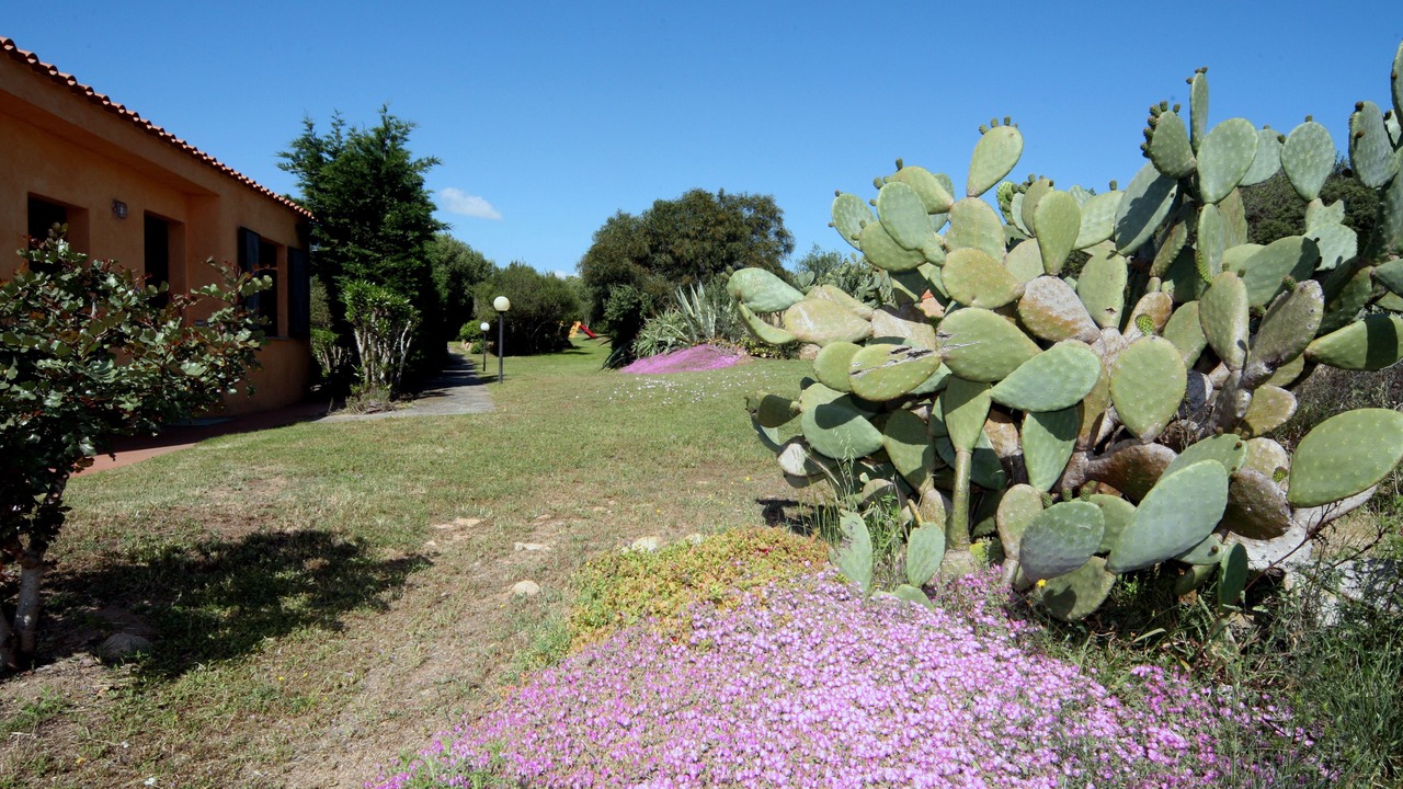 Photo of Outdoor in Capo Coda Cavallo