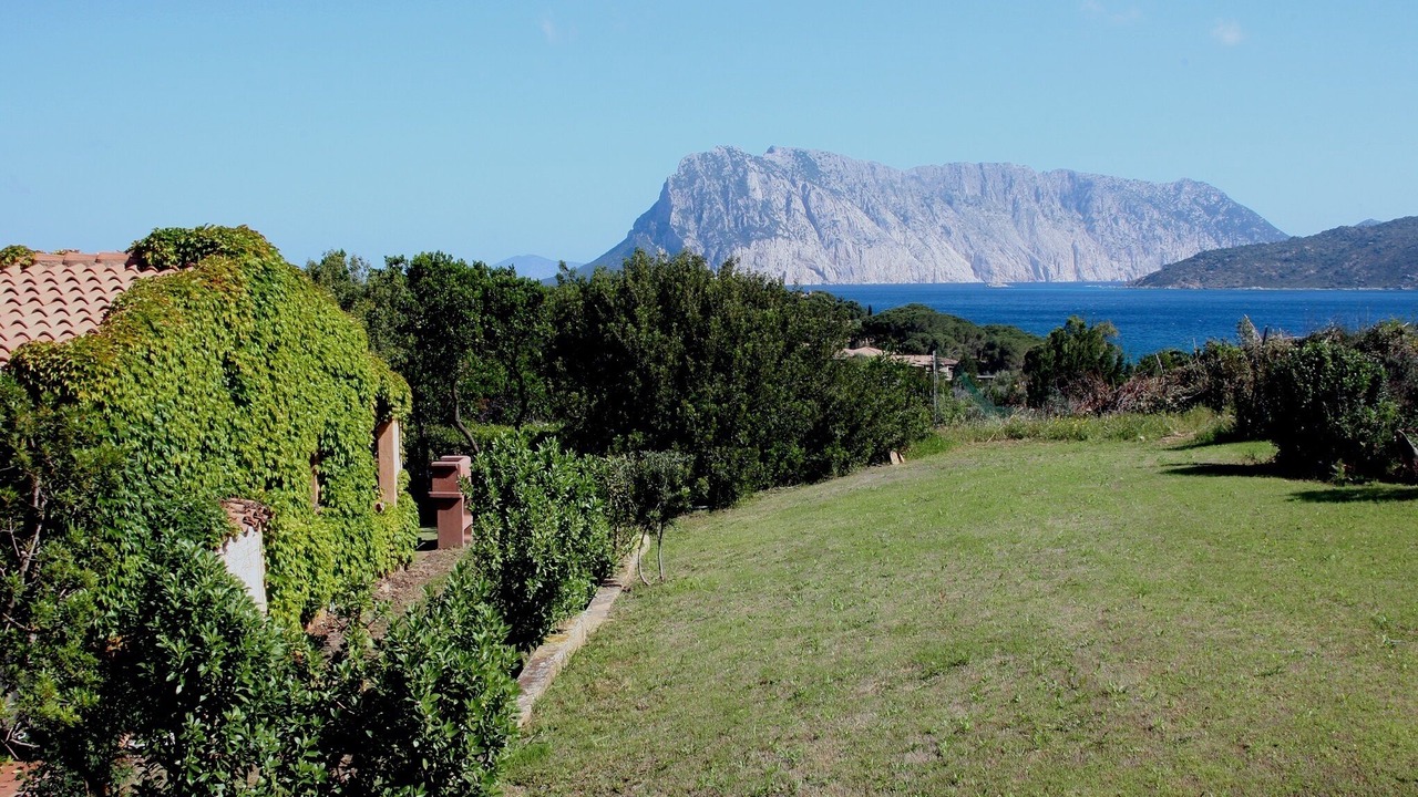Photo of Outdoor in Capo Coda Cavallo
