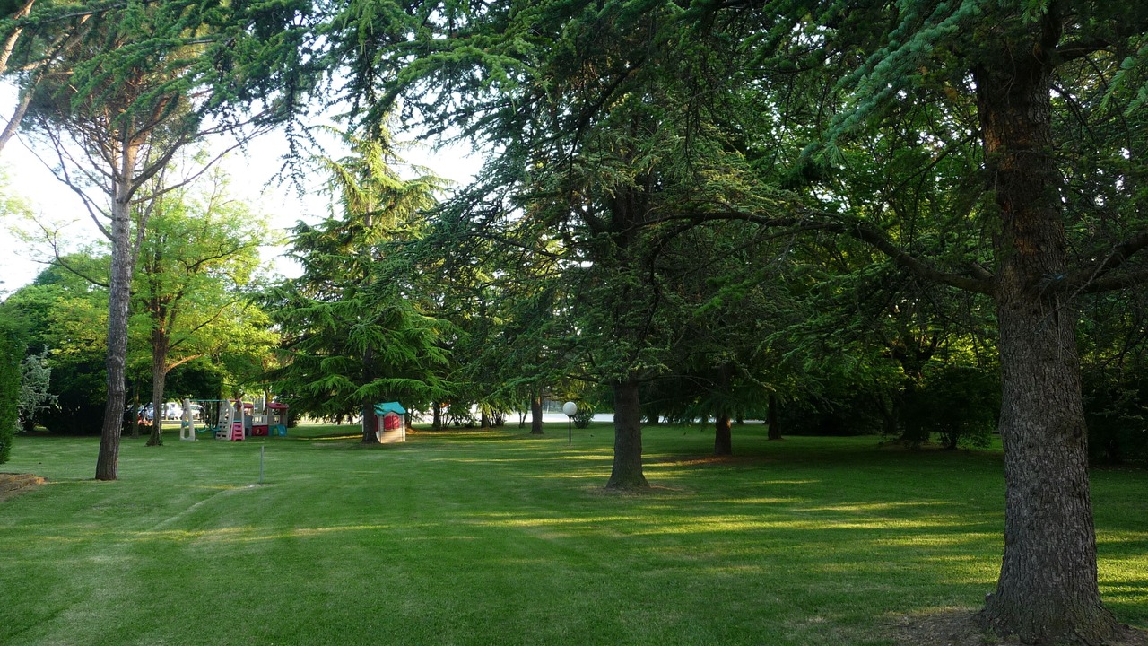 Photo of Outdoor in Monastier di Treviso