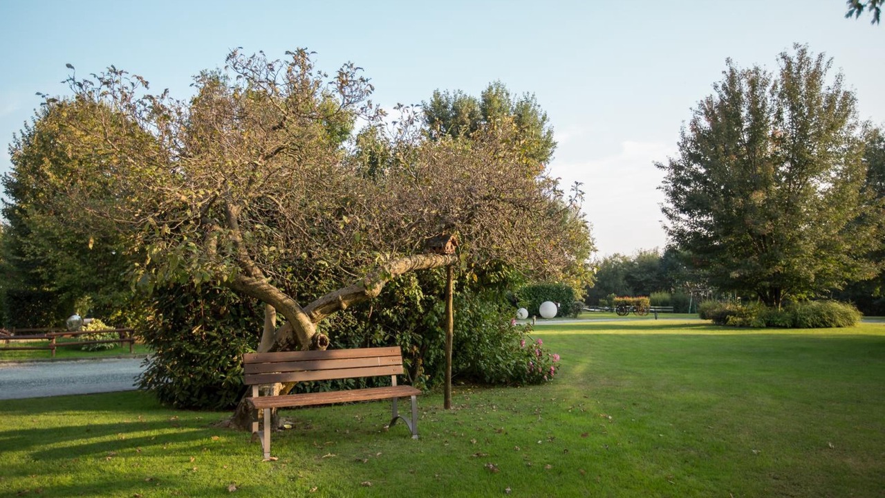 Photo of Outdoor in San Francesco al Campo