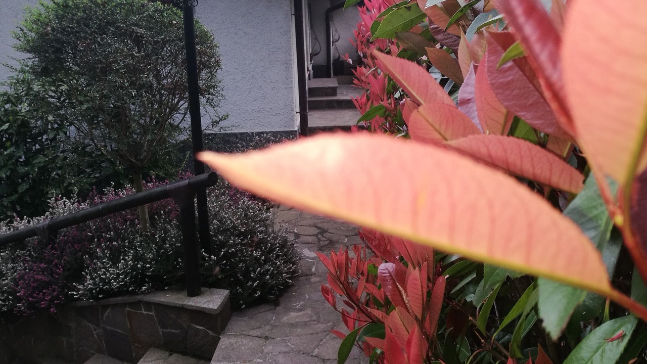 Photo of Patio Balcony in Locate Varesino