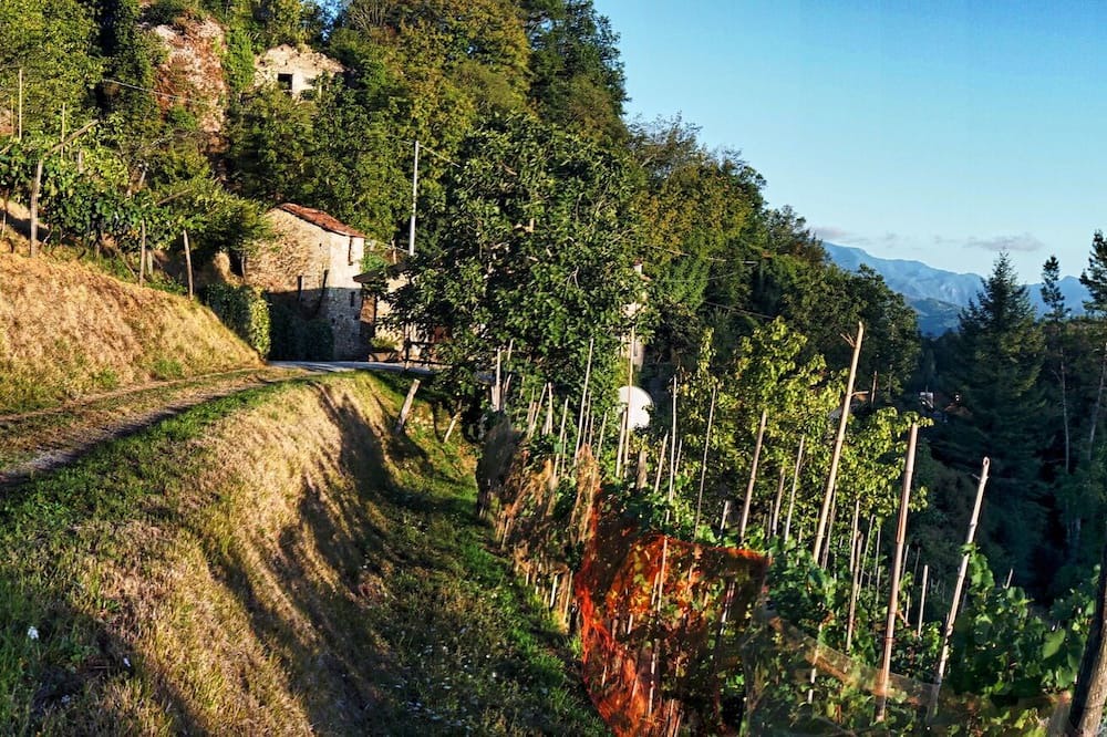 Photo of Others in Bigliolo