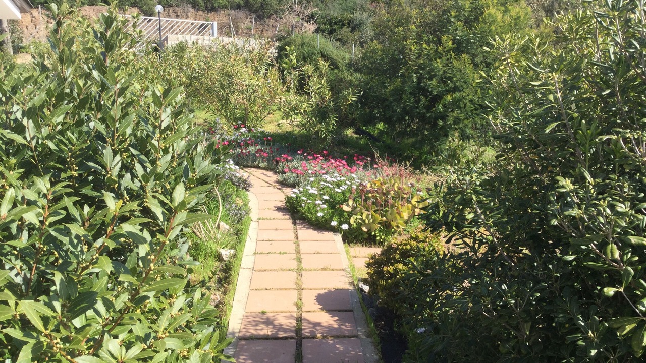 Photo of Outdoor in Fluminimaggiore