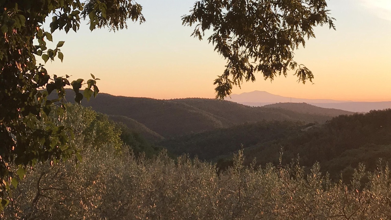Photo of Outdoor in San Venanzo