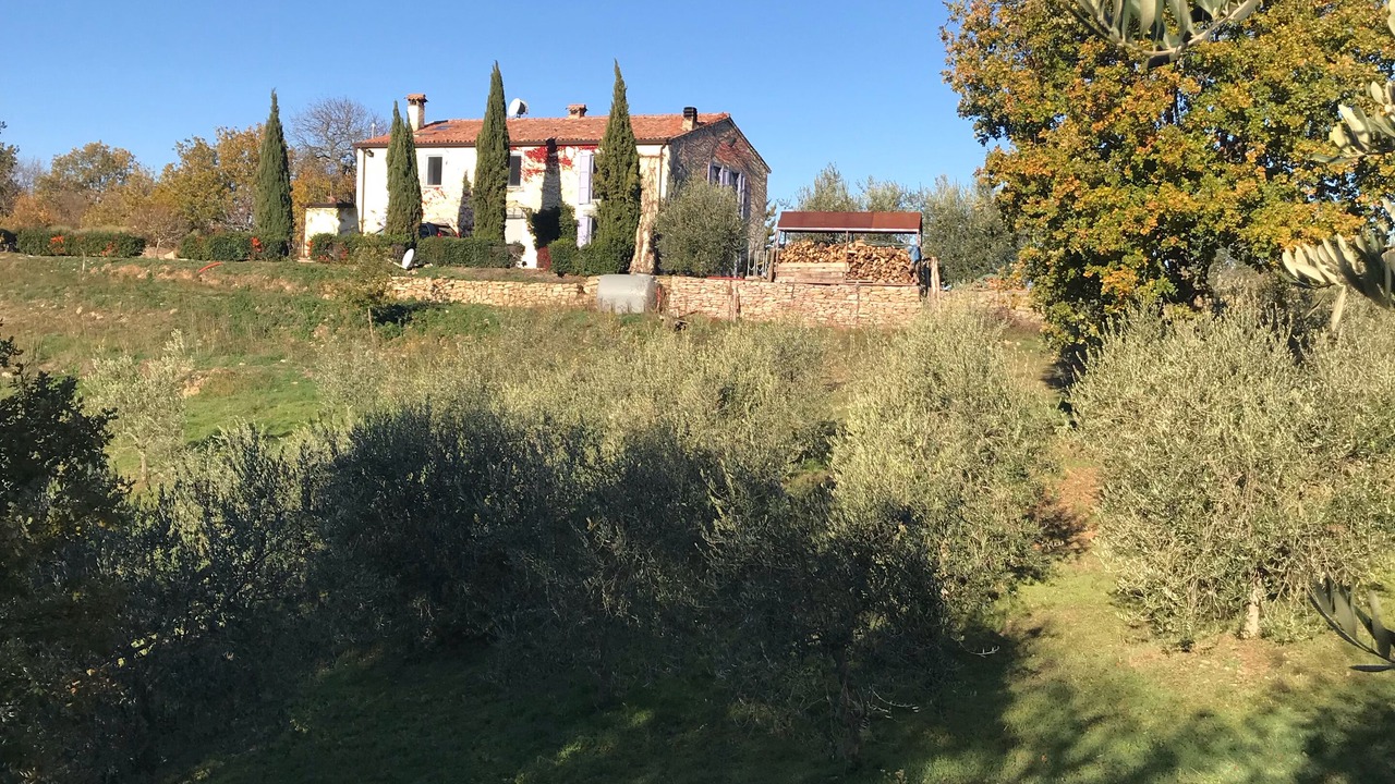 Photo of Outdoor in San Venanzo