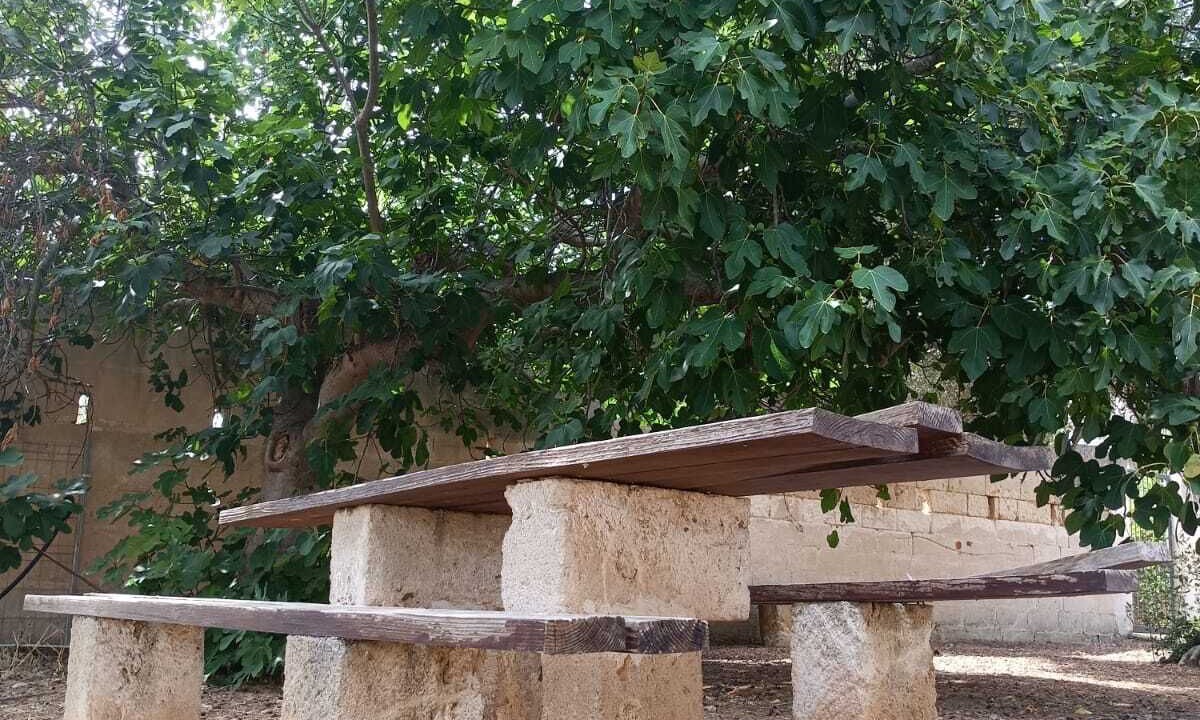Photo of Outdoor in Lizzano