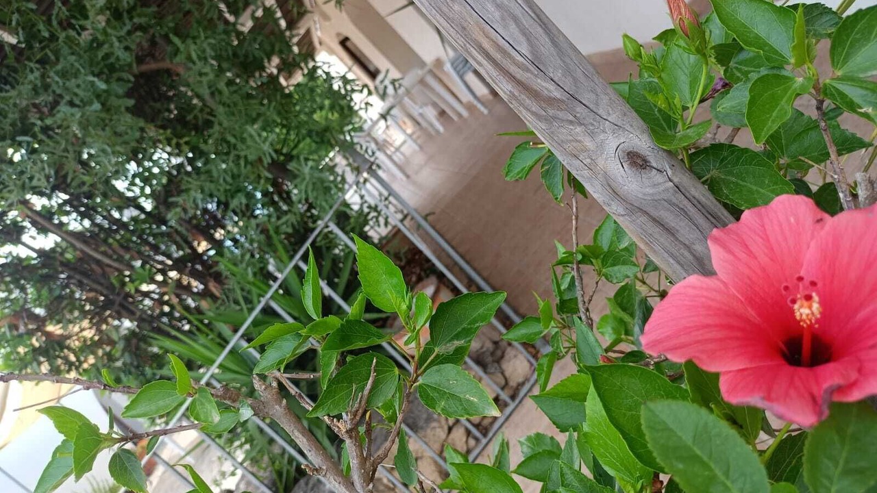 Photo of Outdoor in Lizzano