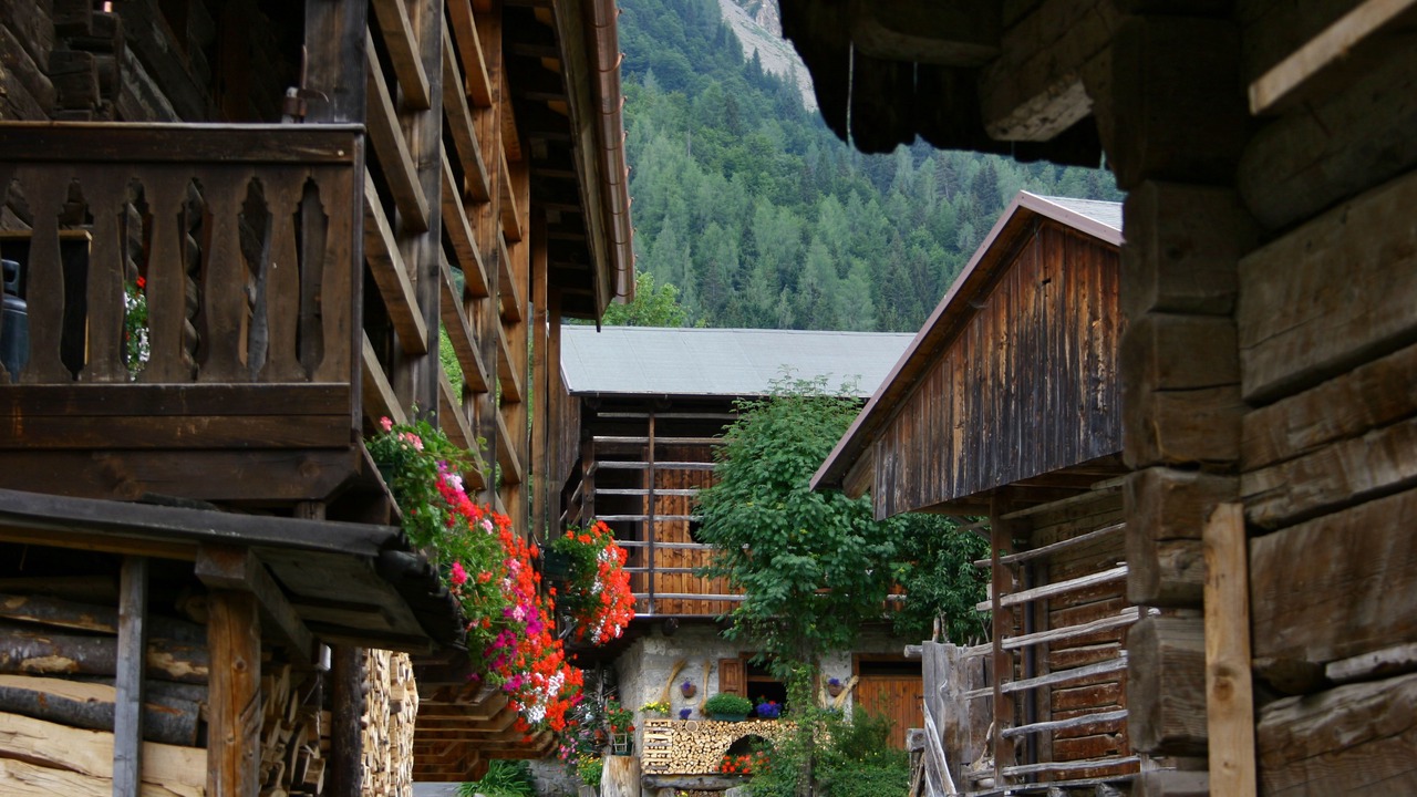 Photo of Outdoor in Sauris di Sotto