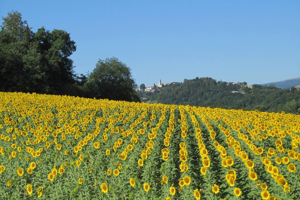 Photo of Outdoor in Rupoli