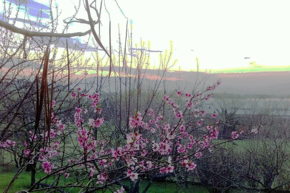 Photo of Outdoor in Rupoli