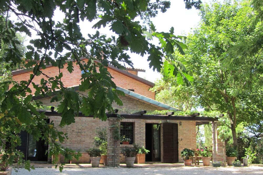 Photo of Outdoor in Rupoli