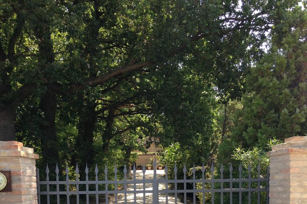 Photo of Outdoor in Rupoli