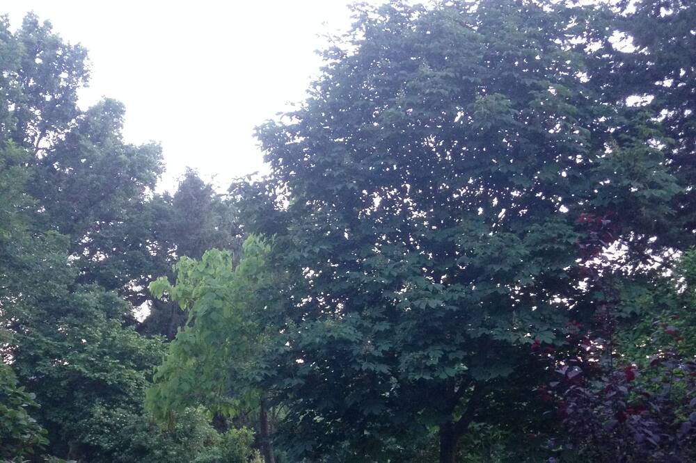 Photo of Outdoor in Rupoli