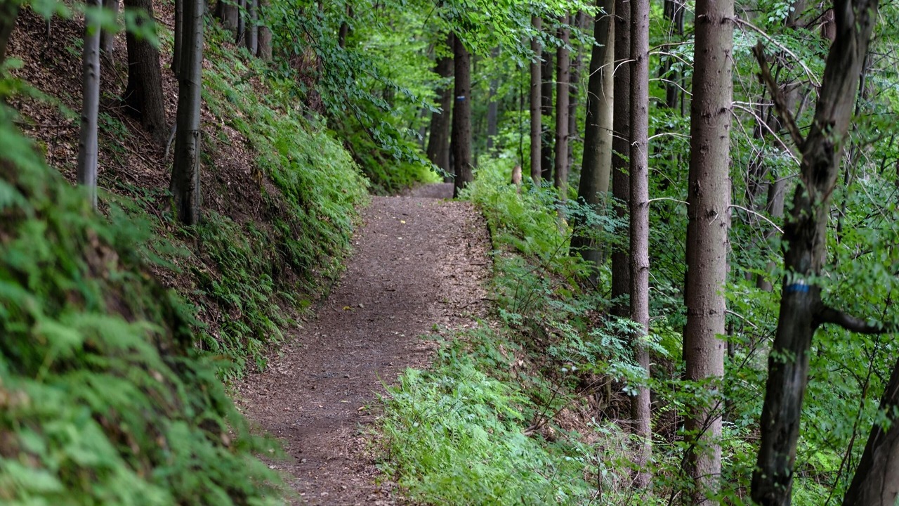 Photo of Outdoor in Momigno