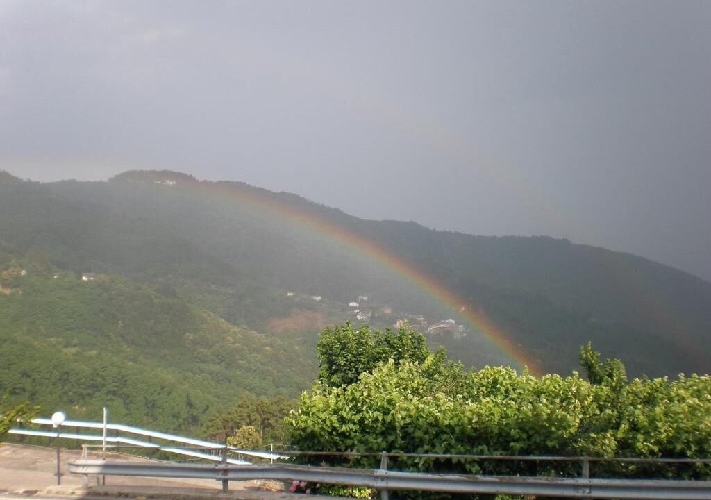 Photo of Outdoor in Momigno