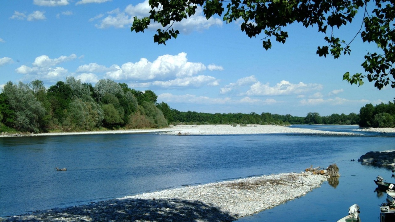 Photo of Others in Pavia
