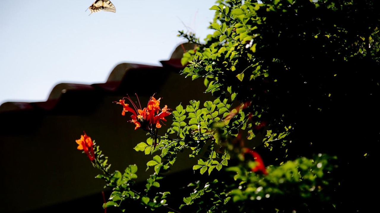 Photo of Outdoor in San Salvatore