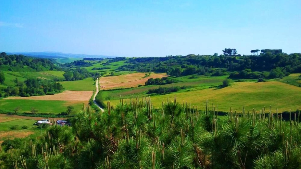 Photo of Others in Tuscania