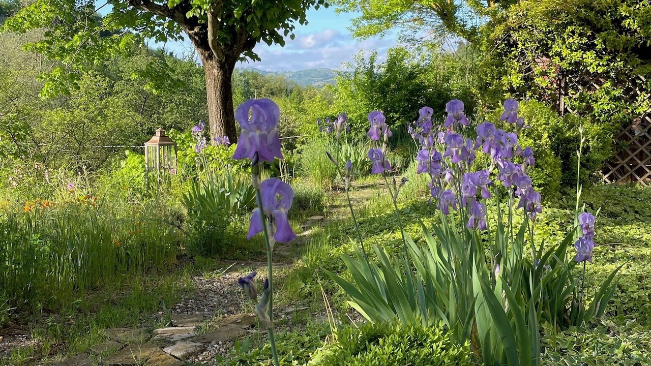 Photo of Outdoor in Acqui Terme