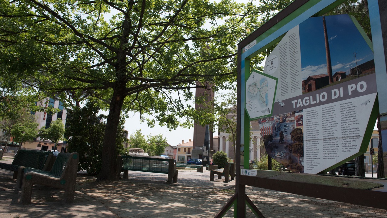 Photo of Outdoor in Taglio di Po