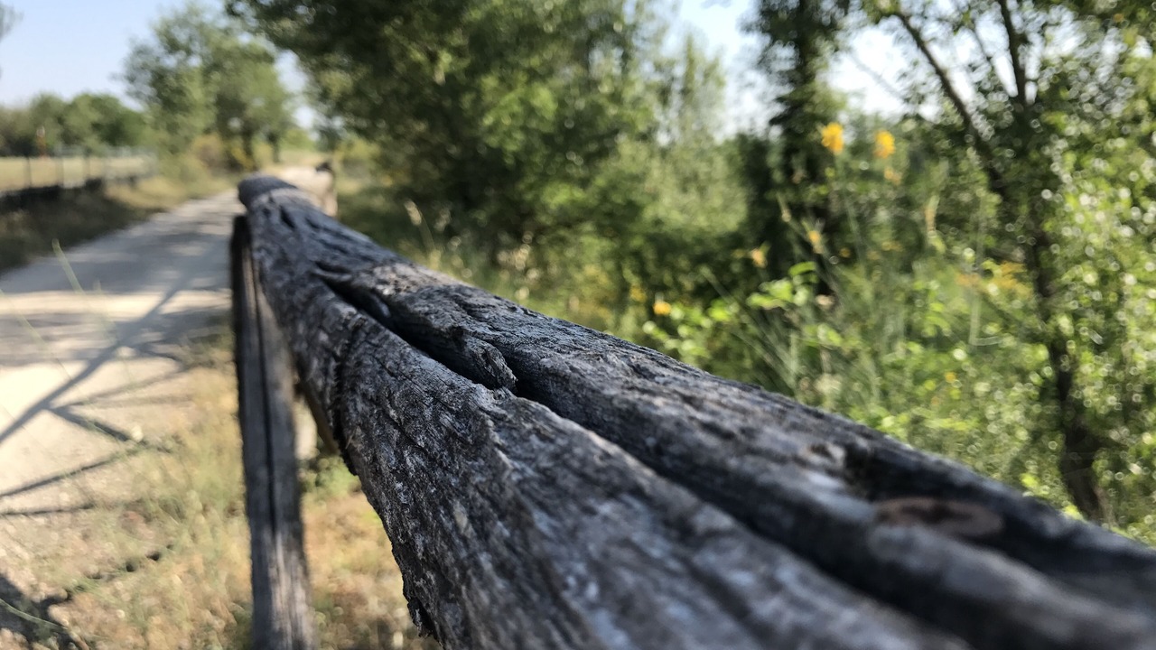 Photo of Outdoor in Spilamberto