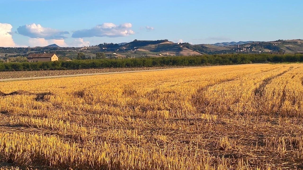 Photo of Others in Spilamberto