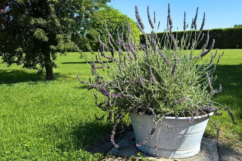 Photo of Outdoor in Spilamberto
