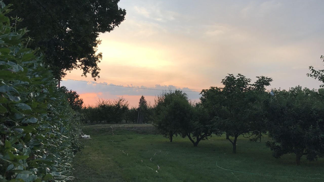 Photo of Outdoor in Spilamberto