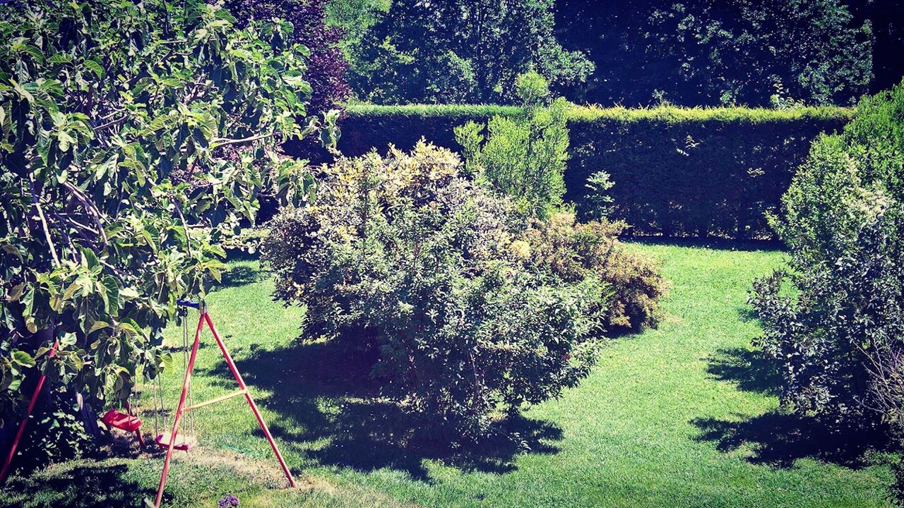 Photo of Outdoor in Spilamberto