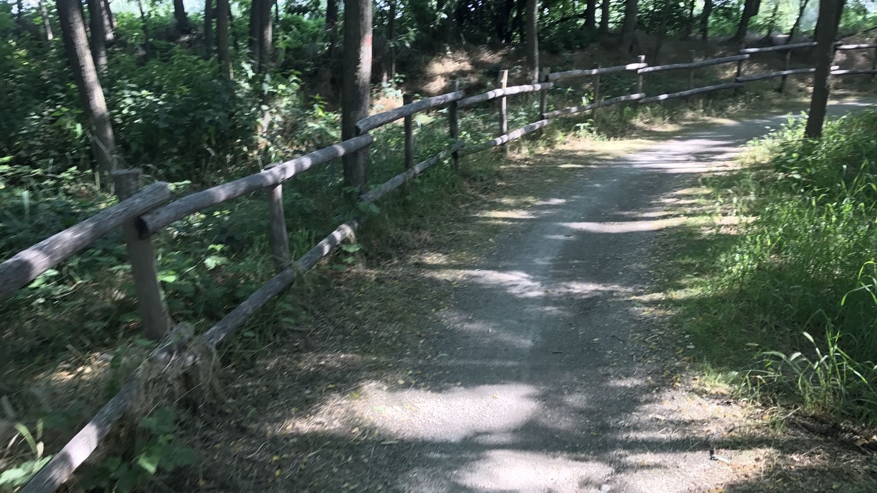 Photo of Outdoor in Spilamberto