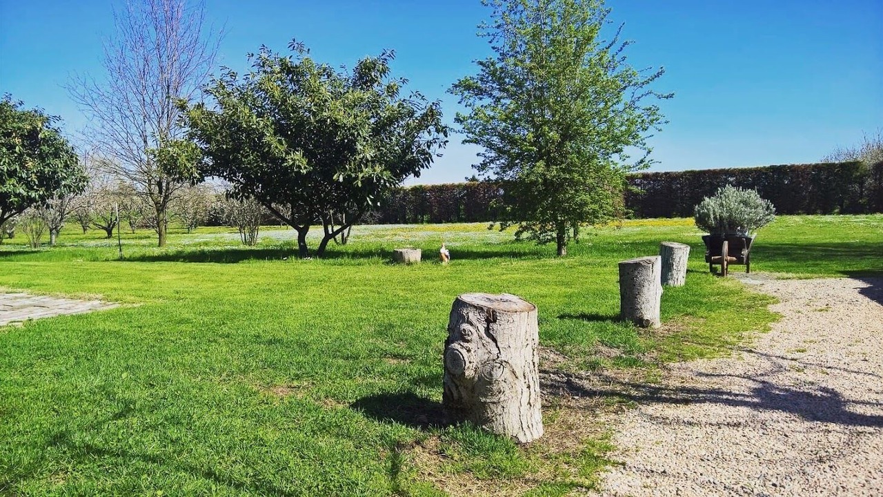 Photo of Outdoor in Spilamberto