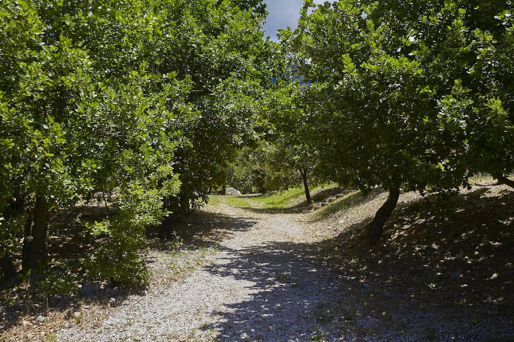 Photo of Outdoor in Polizzi Generosa