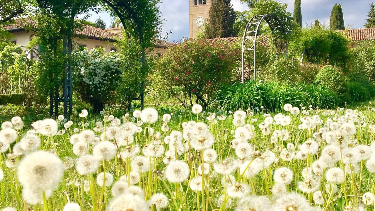 Photo of Outdoor in Sesto al Reghena