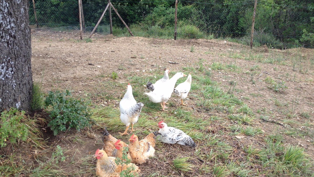 Photo of Outdoor in Cantalupo