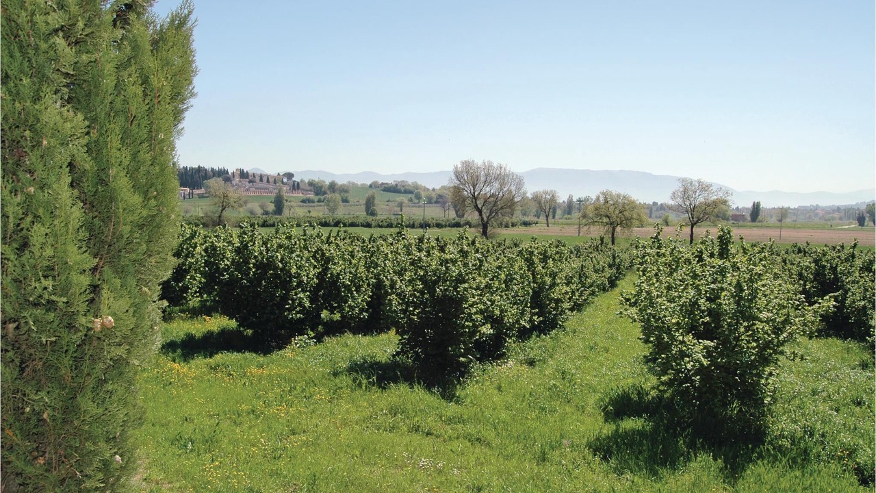 Photo of Outdoor in Bevagna