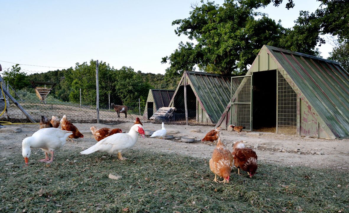 Photo of Outdoor in Cantalupo