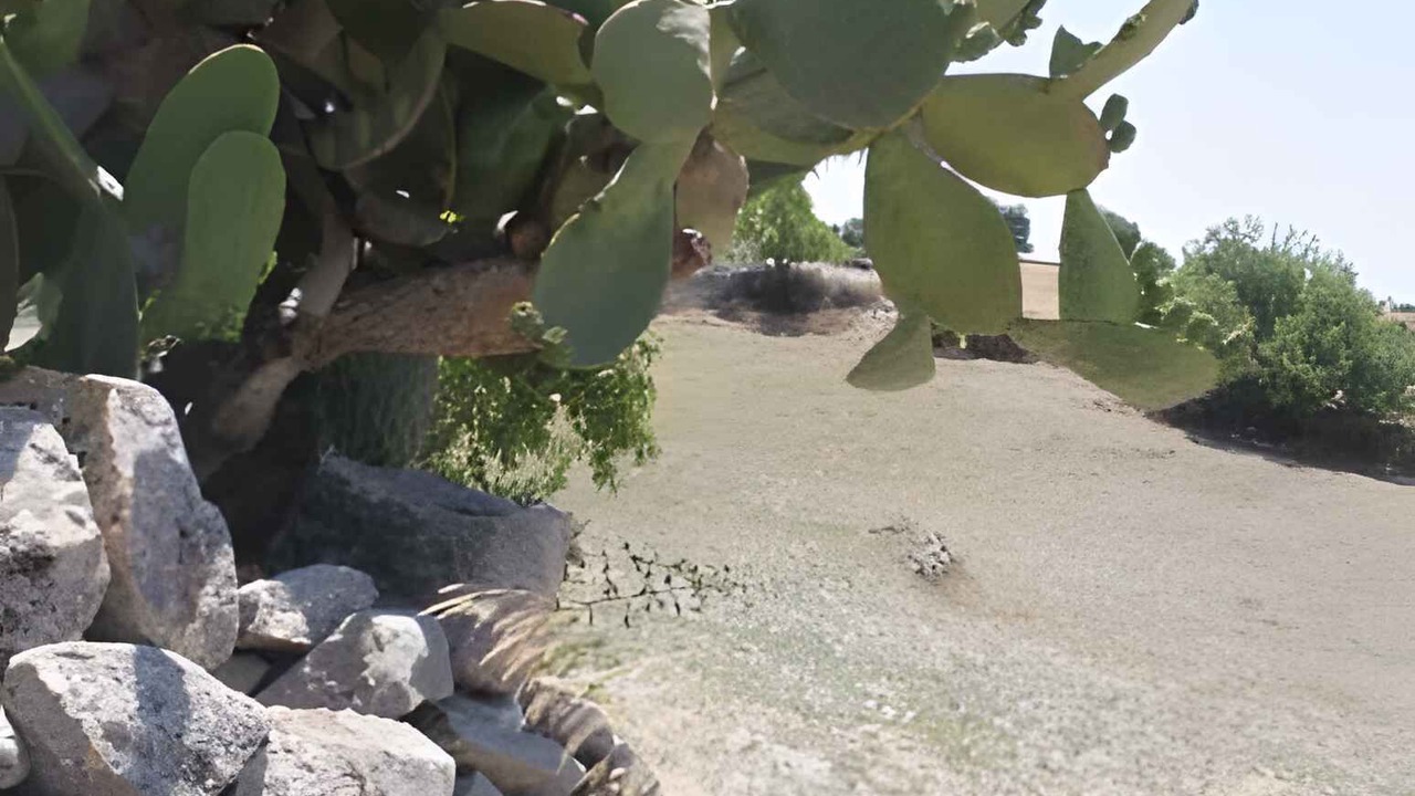 Photo of Outdoor in Casa Papa