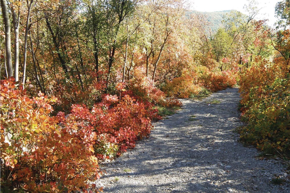 Photo of Others in Capriva del Friuli