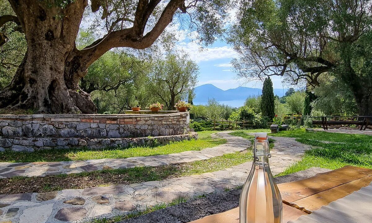 Photo of Outdoor in Bosco