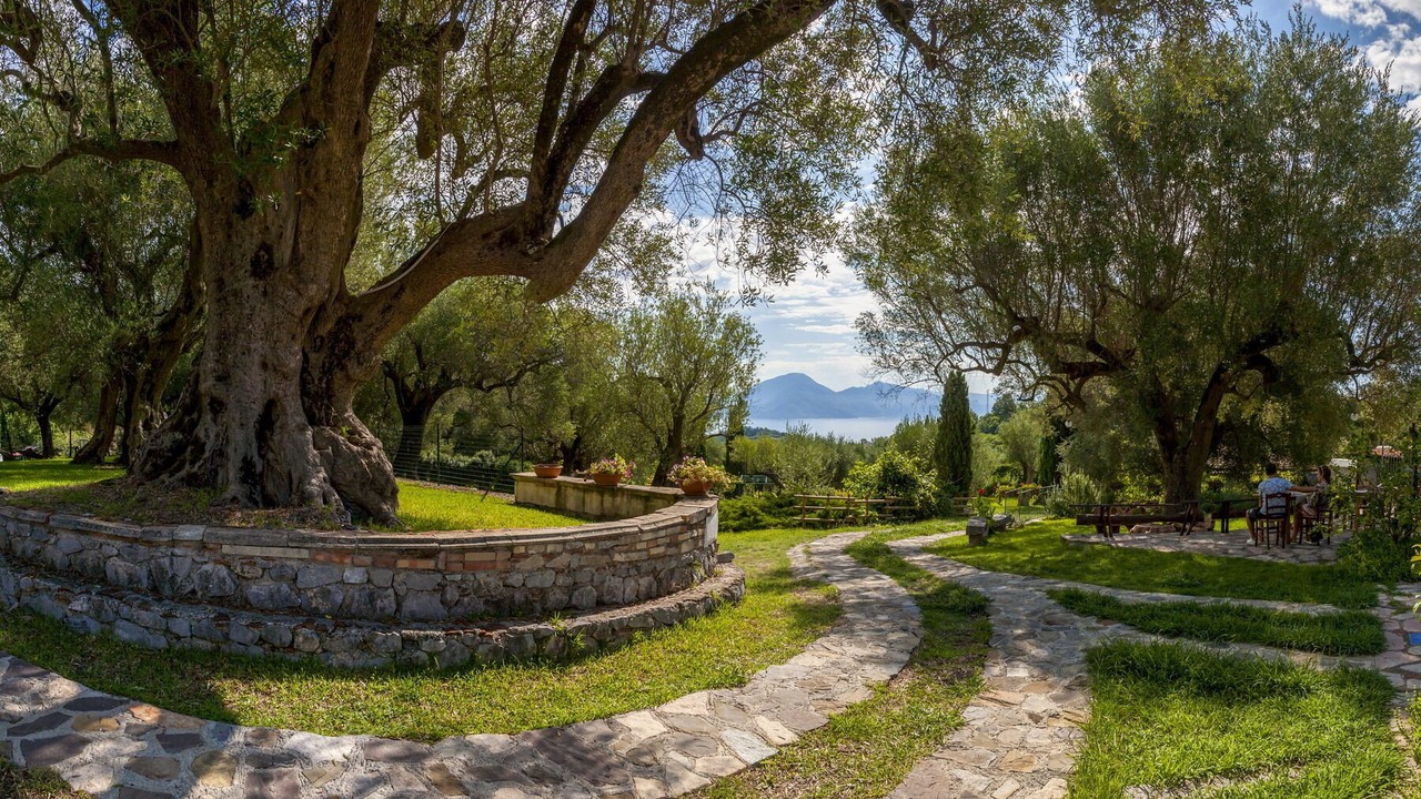 Photo of Outdoor in Bosco