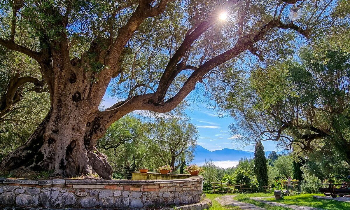 Photo of Outdoor in Bosco