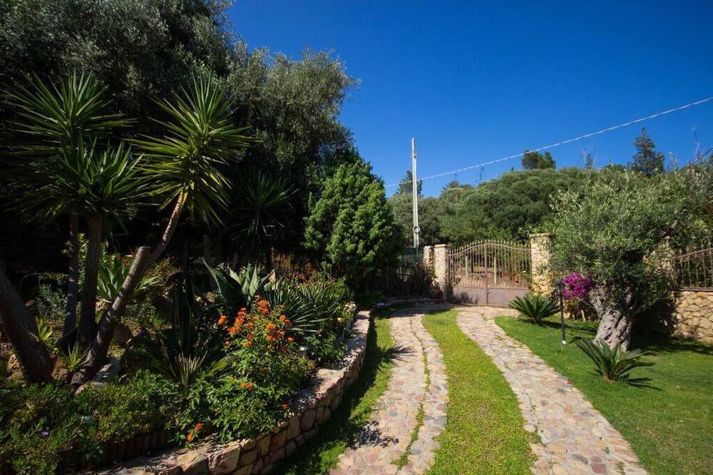 Photo of Outdoor in Solanas