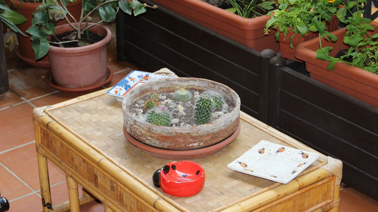 Photo of Outdoor in Province of Cagliari