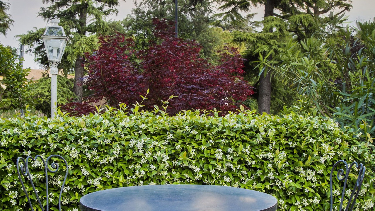 Photo of Outdoor in Este
