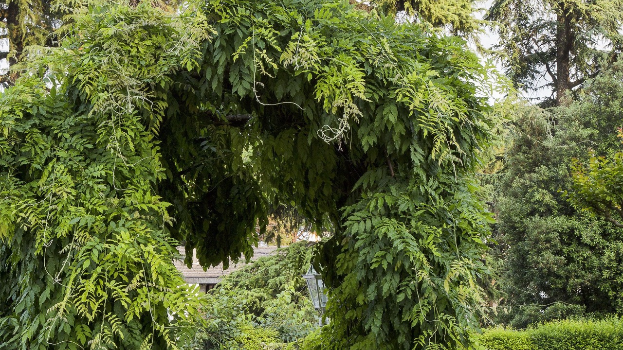 Photo of Outdoor in Este
