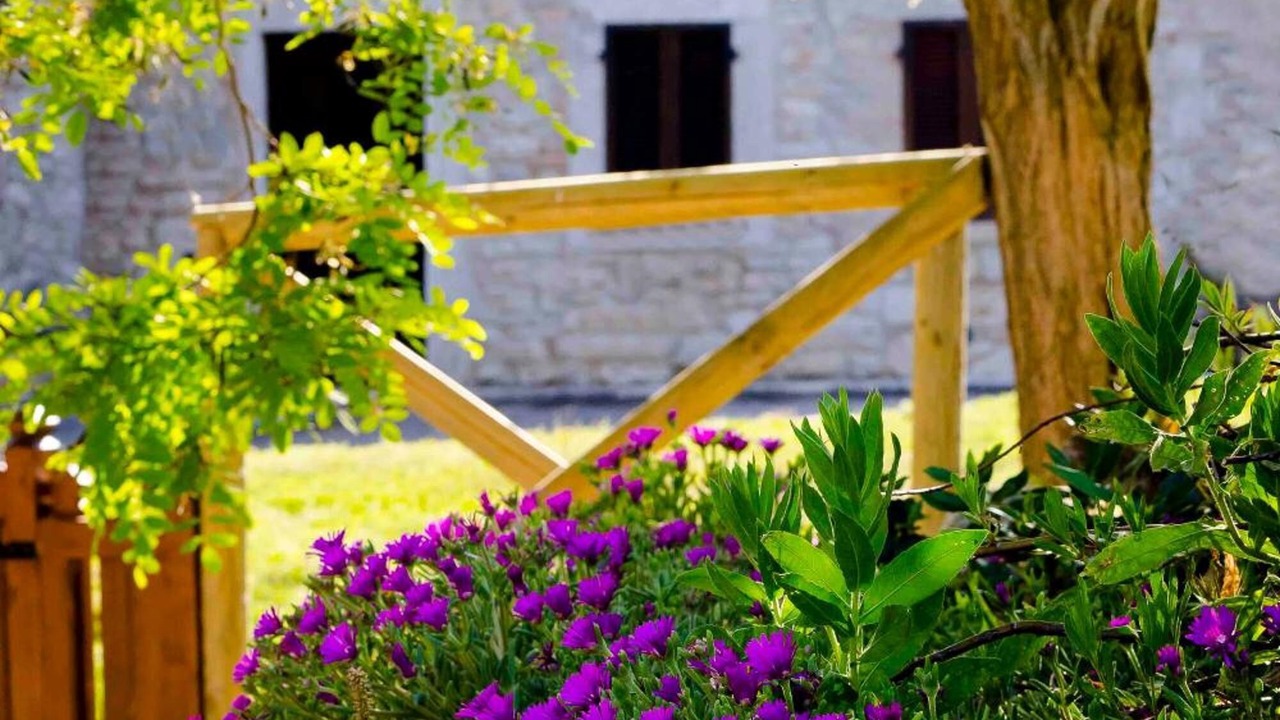 Photo of Outdoor in Acqua Loreto