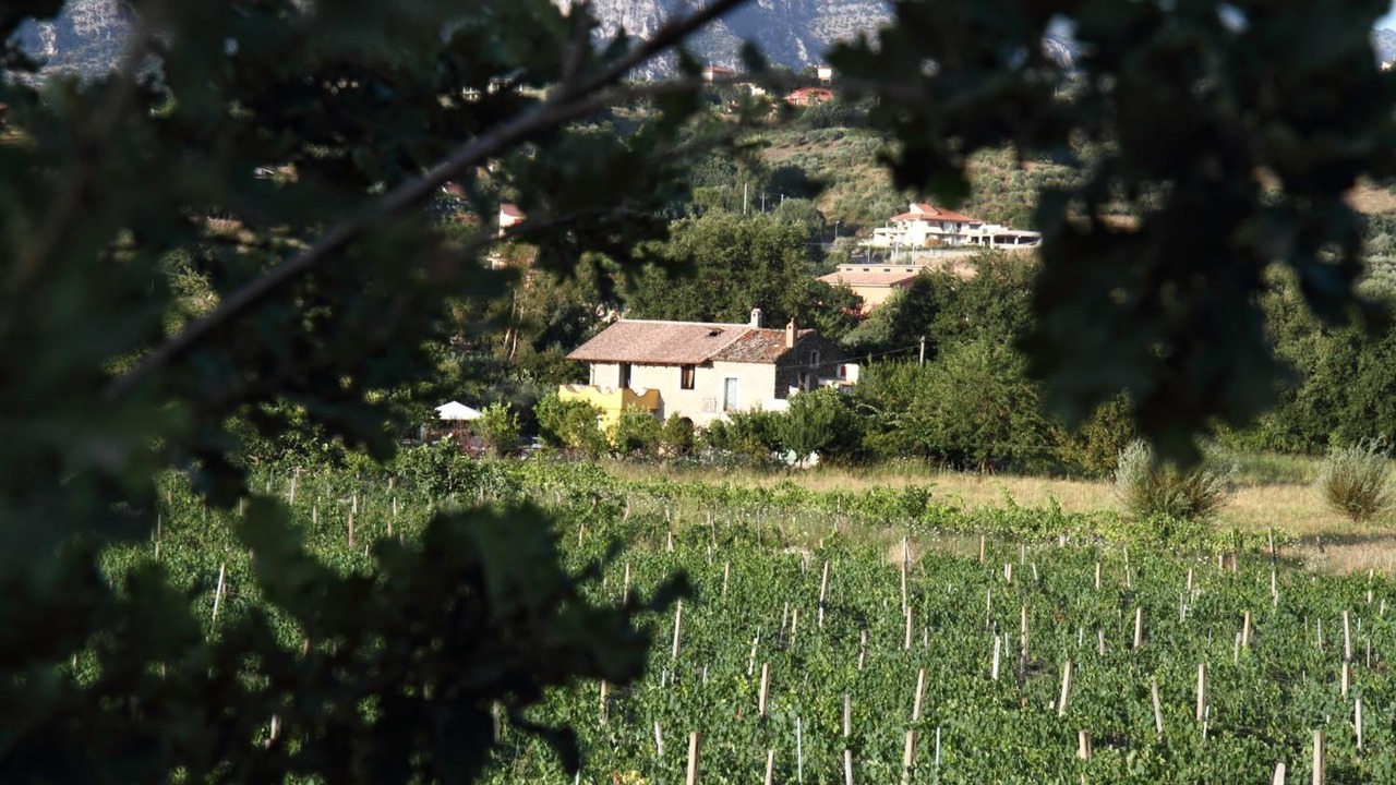 Photo of Outdoor in Cicerale